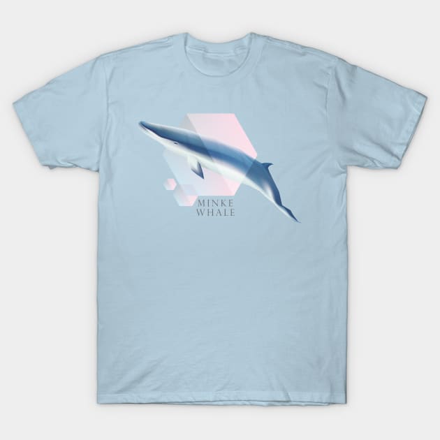Minke Whale - Beautifully Styled Oceanic Mammal T-Shirt by DesignFury
